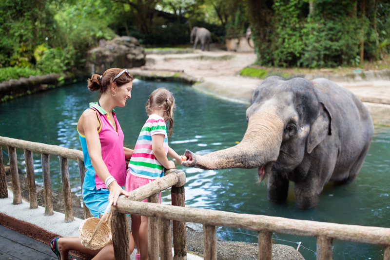 Hermann Park and Houston Zoo attraction